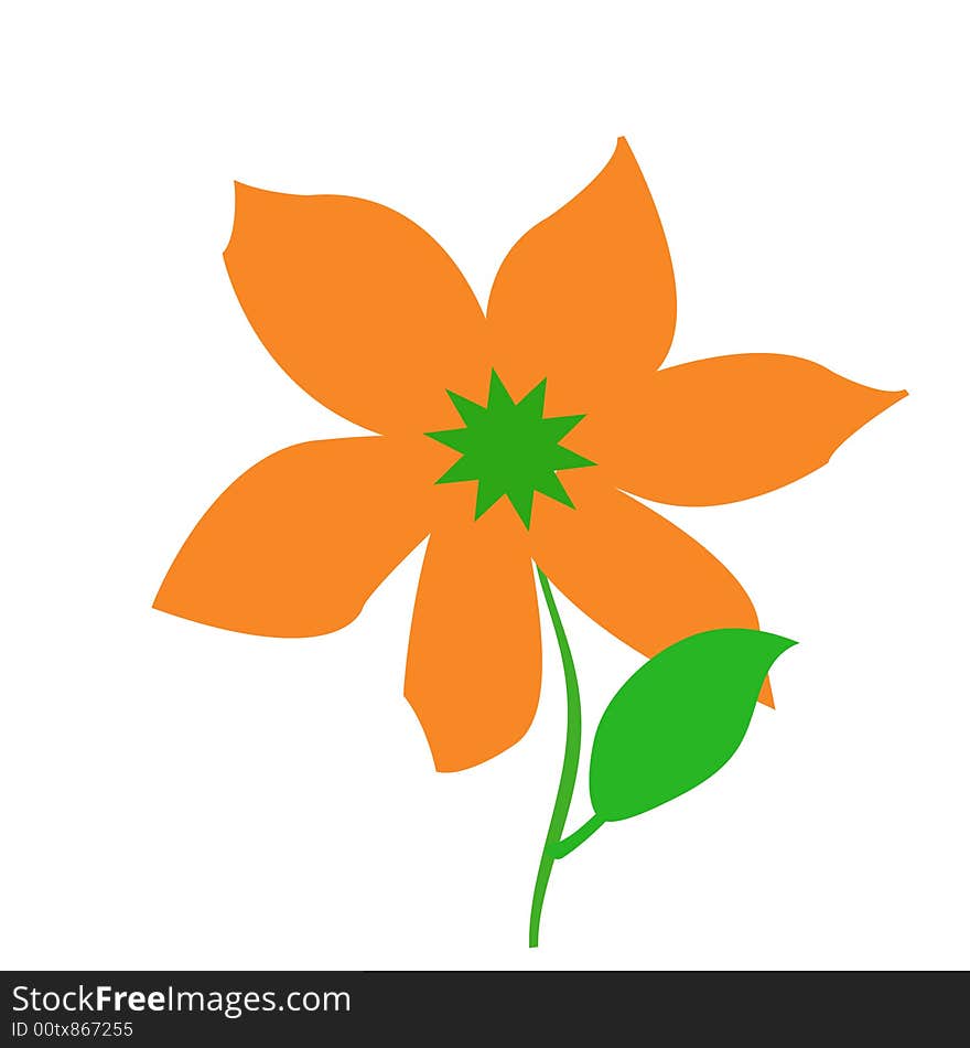 Orange flower