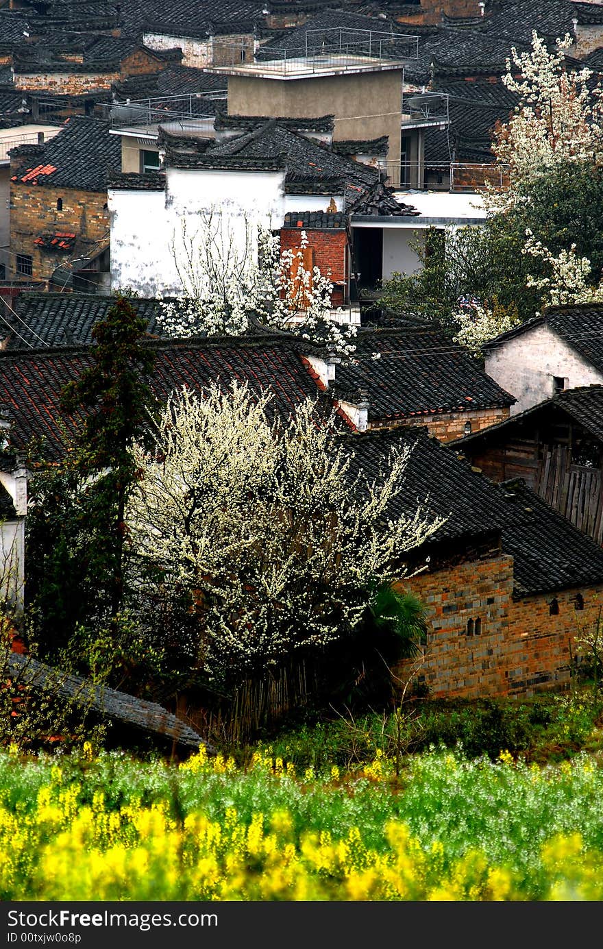 Beautiful village in wuyuan, which is regarded as the most beautiful country in China