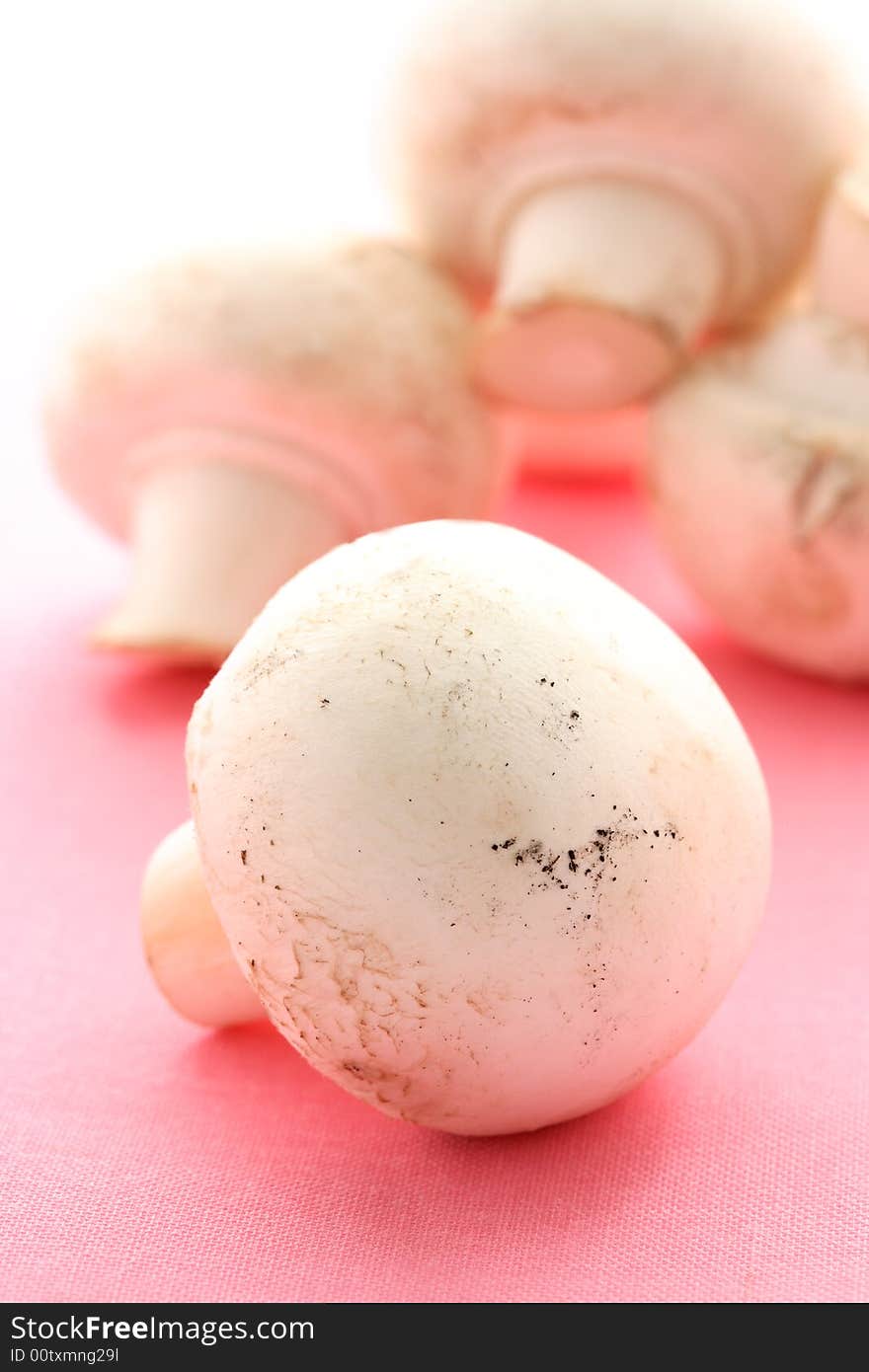 Beautiful button mushrooms on pink