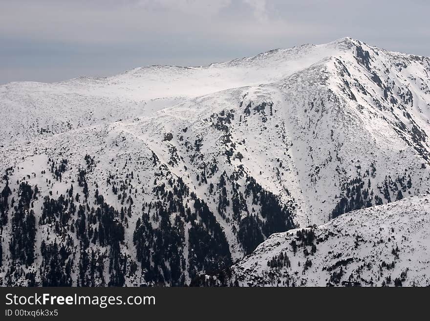 Forest in mountain margins with snow and sky. Forest in mountain margins with snow and sky