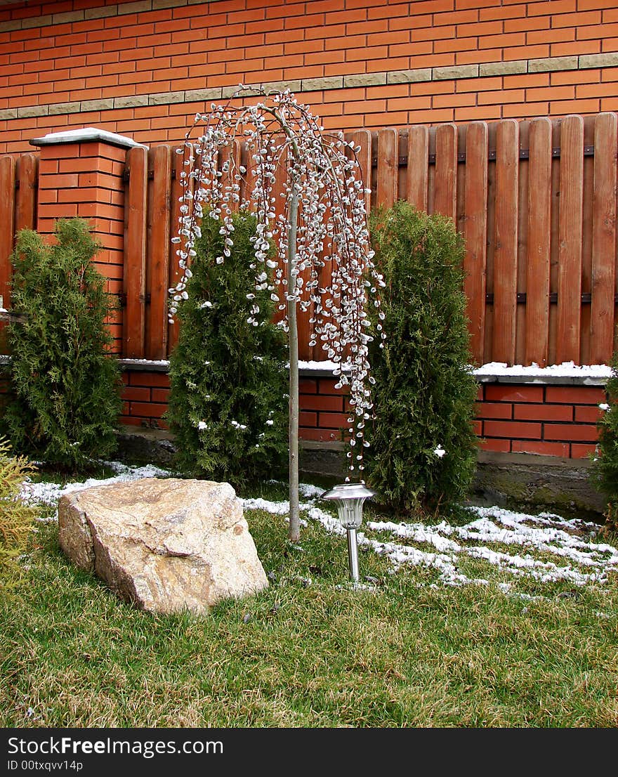 A flowering willow is in a spring garden