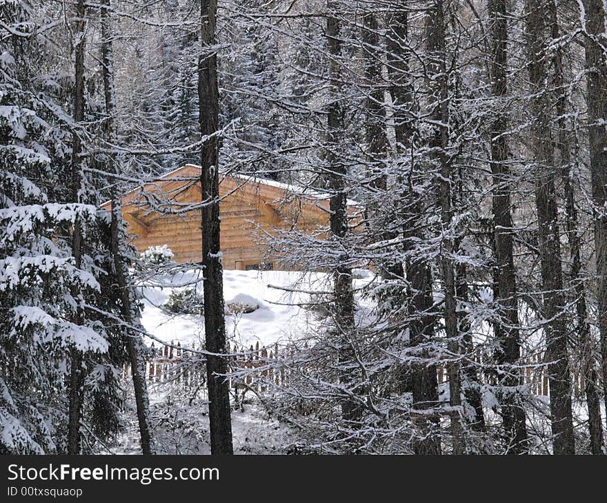 House under snow