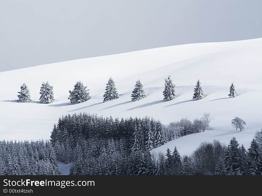 Winter day in Schwarzwald region, Germany. Winter day in Schwarzwald region, Germany