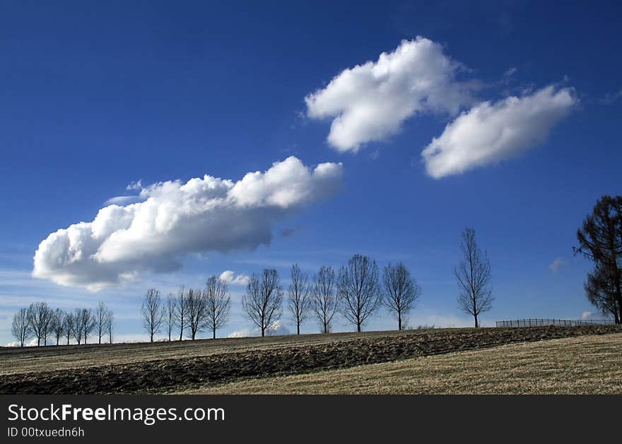 Clouds and trees_rural landscape