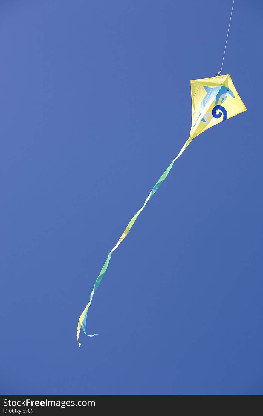 Kite