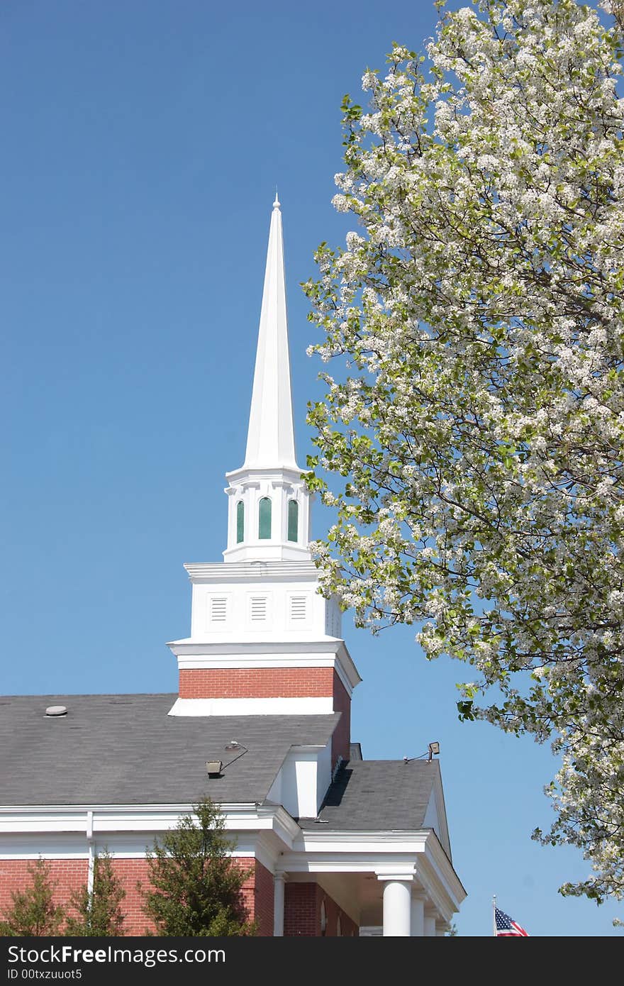 A blossoming fruit tree frames a rising church steeple. A blossoming fruit tree frames a rising church steeple