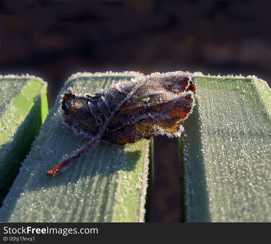 Hoarfrost on a bench and a sheet