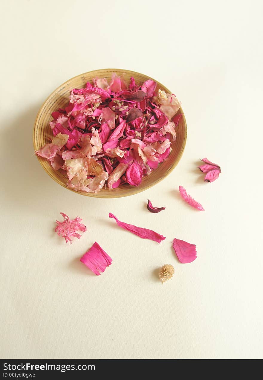 Beautiful pink dry flowers on a light background