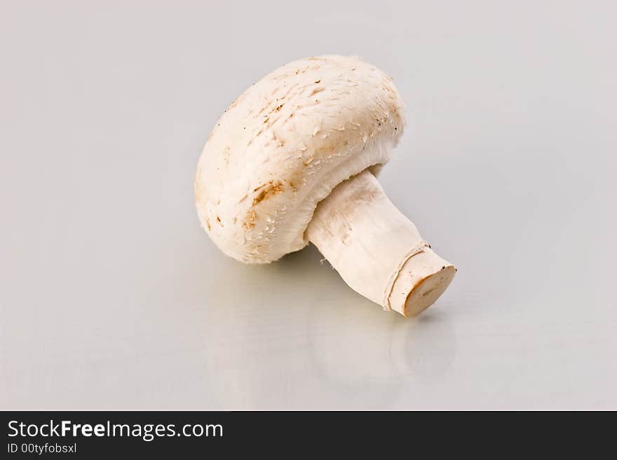 Mushroom