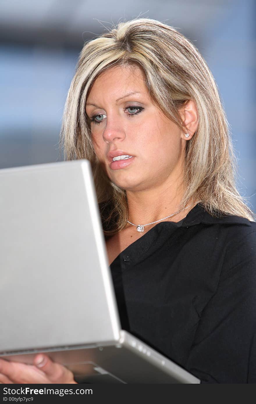 Business Woman Working on a Computer