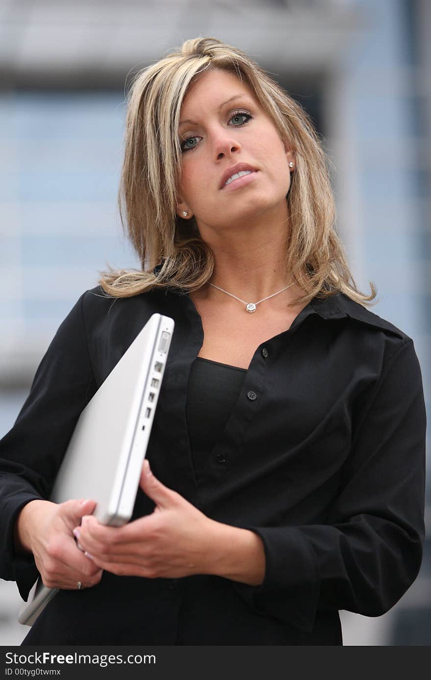 Business Woman Working on a Computer