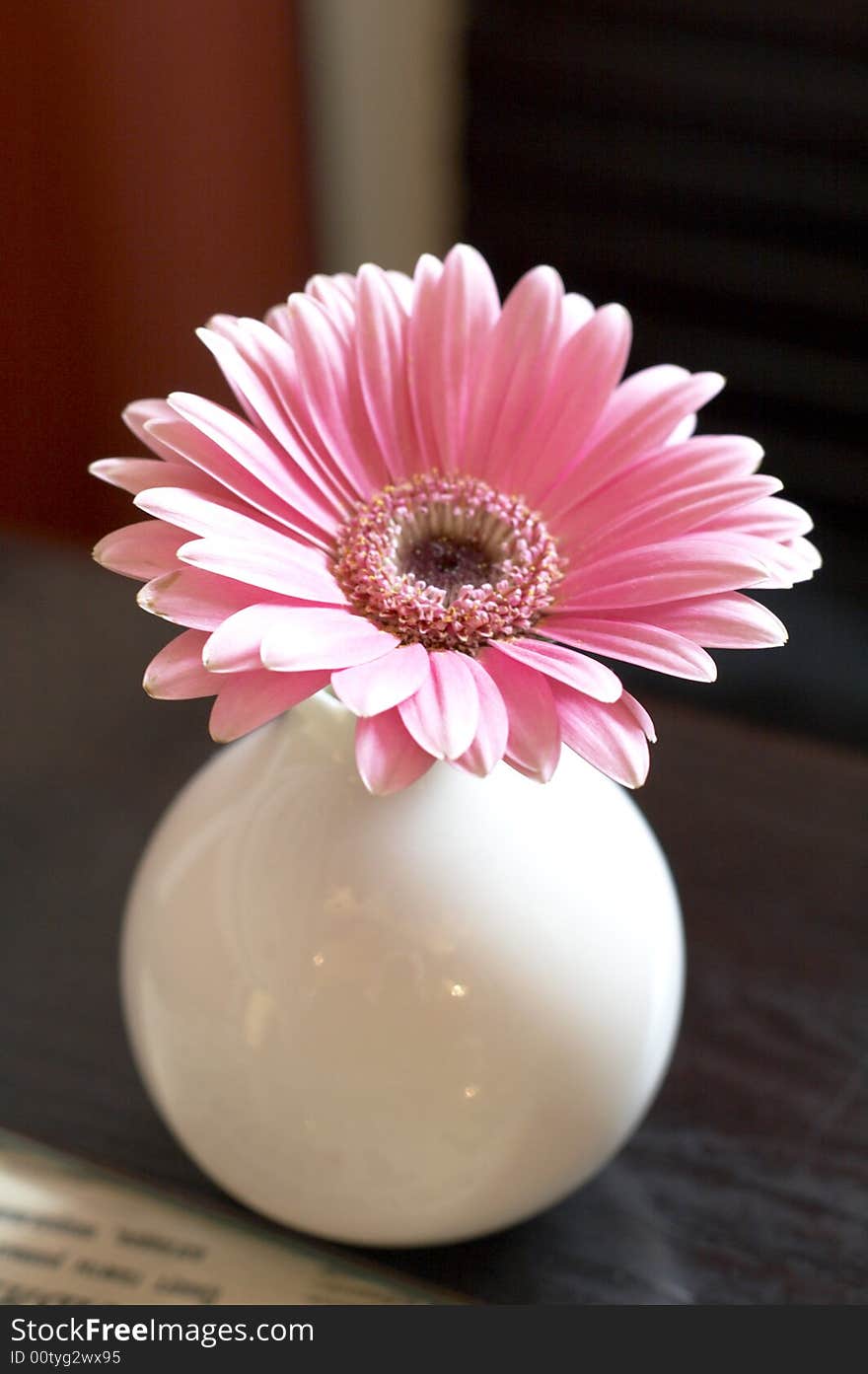 A closeup flower in cafe