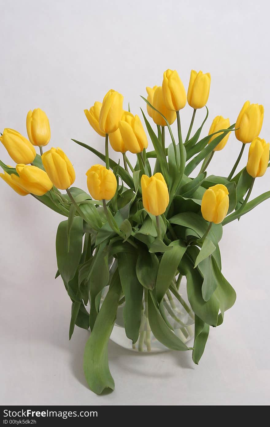 Bouquet yellow tulips in  vase