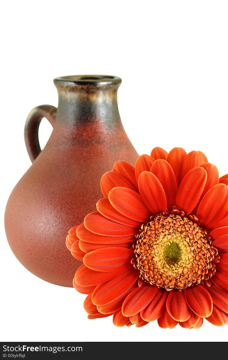 Red fresh gerber daisy with old jug over white with Clipping Path