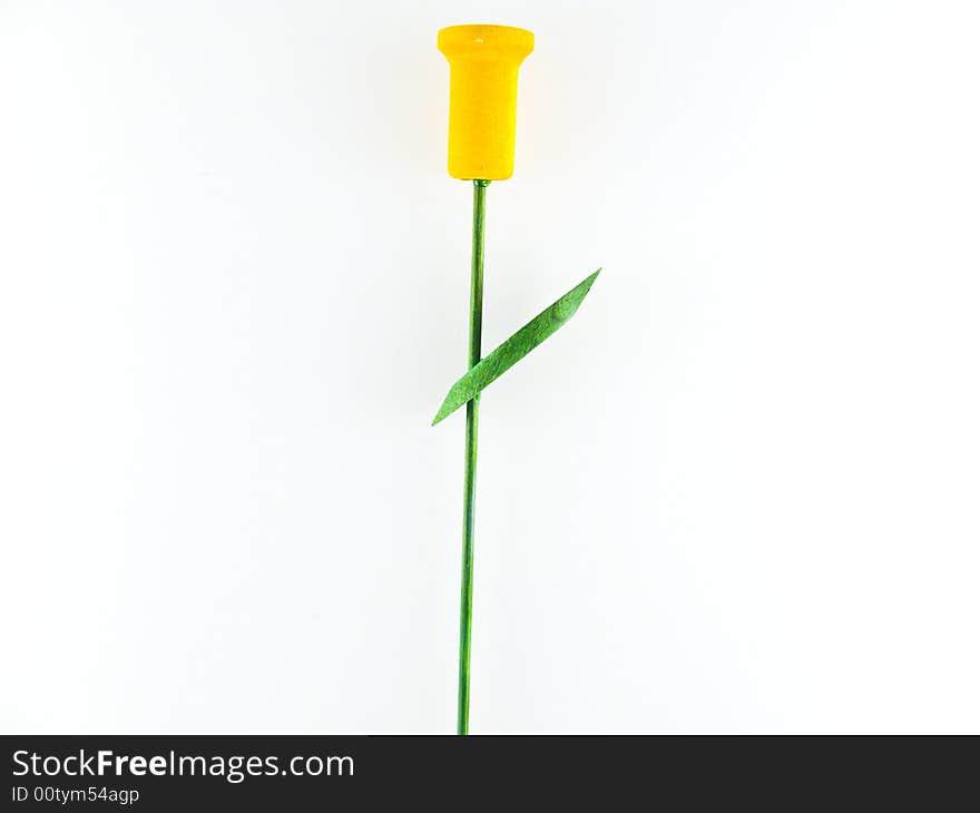 Yellow tulip