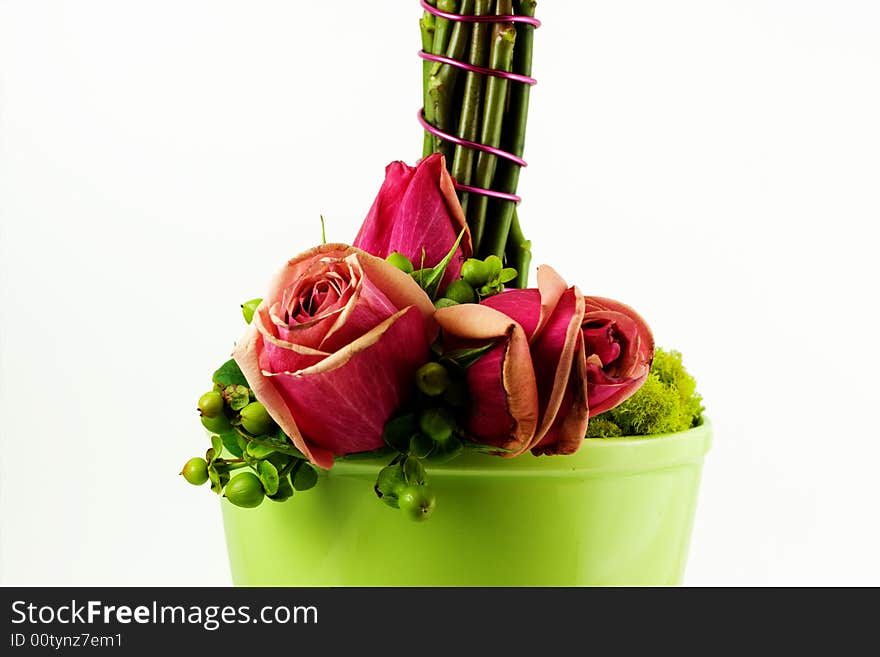 A bunch of Roses set on a white background