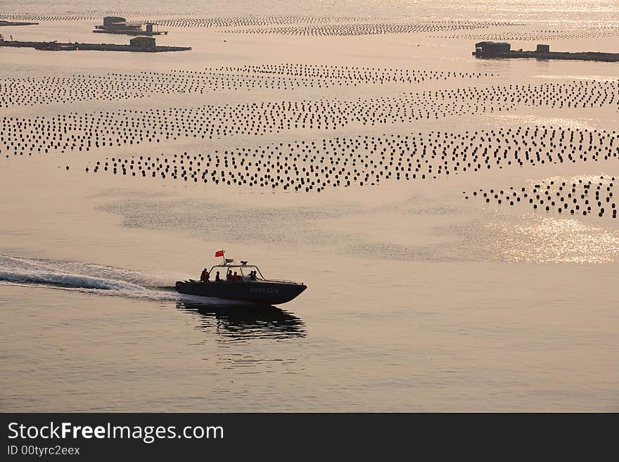 The speed boat is crossing on the sea. The speed boat is crossing on the sea