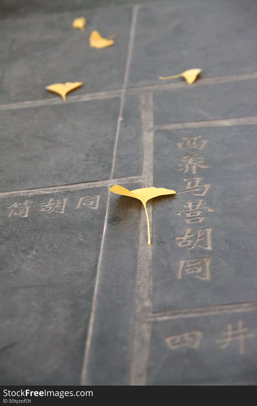 Leaf lie on floor in beijing