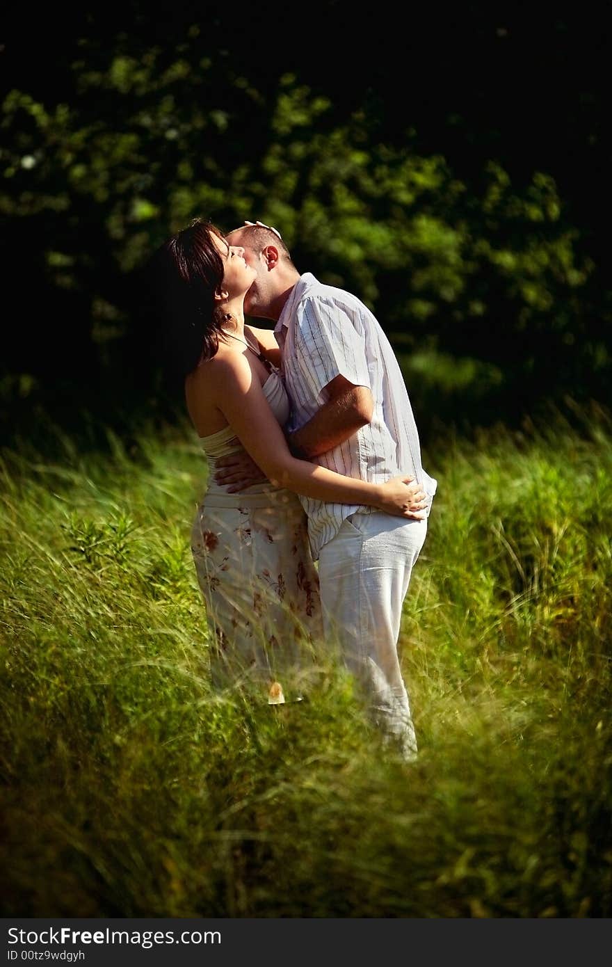 Couple kissing in the grass. Couple kissing in the grass