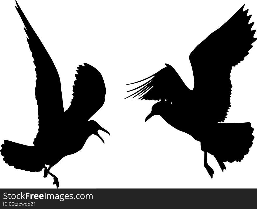 Silhouettes of birds