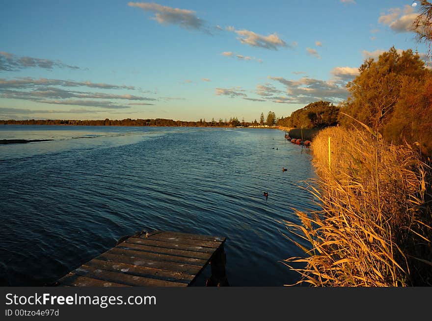 The lake and golden reed is photoed while sunset in central coast, Sydney. The lake and golden reed is photoed while sunset in central coast, Sydney