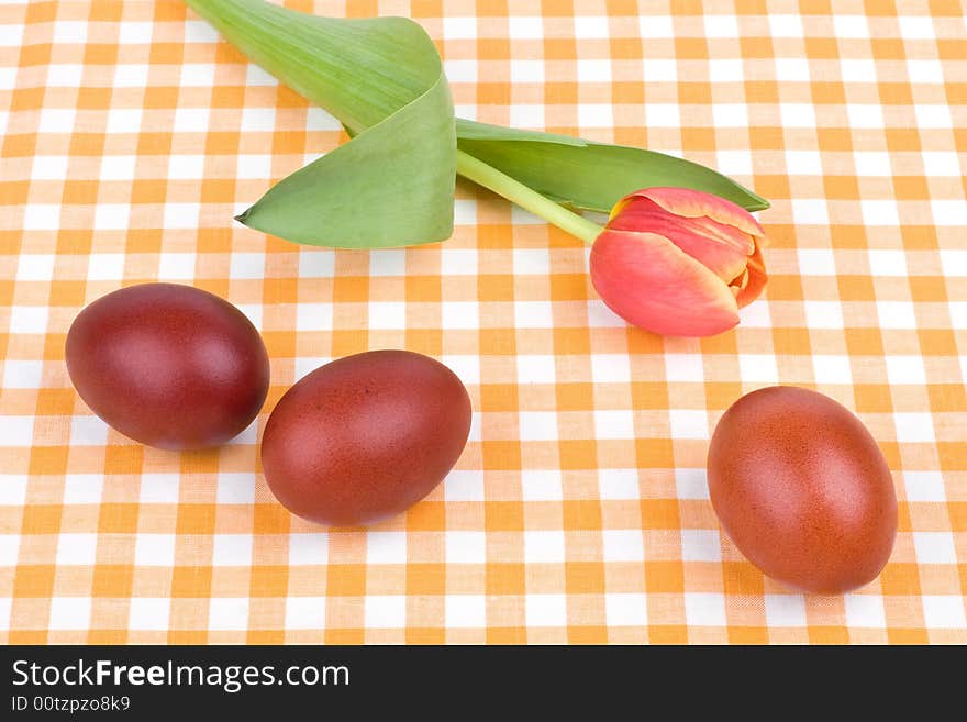 Easter eggs and red tulip. Easter eggs and red tulip