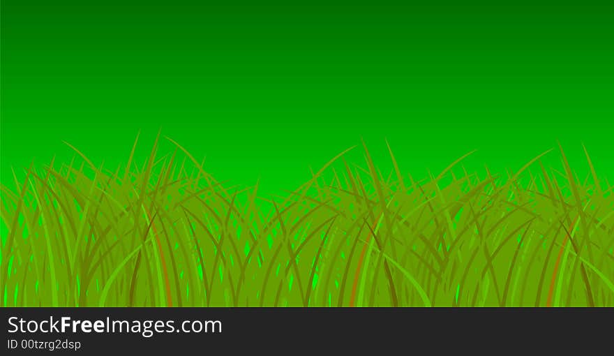 Green grass on green background