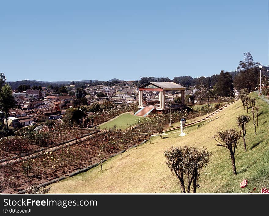 View of rose garden, crowded city as back ground