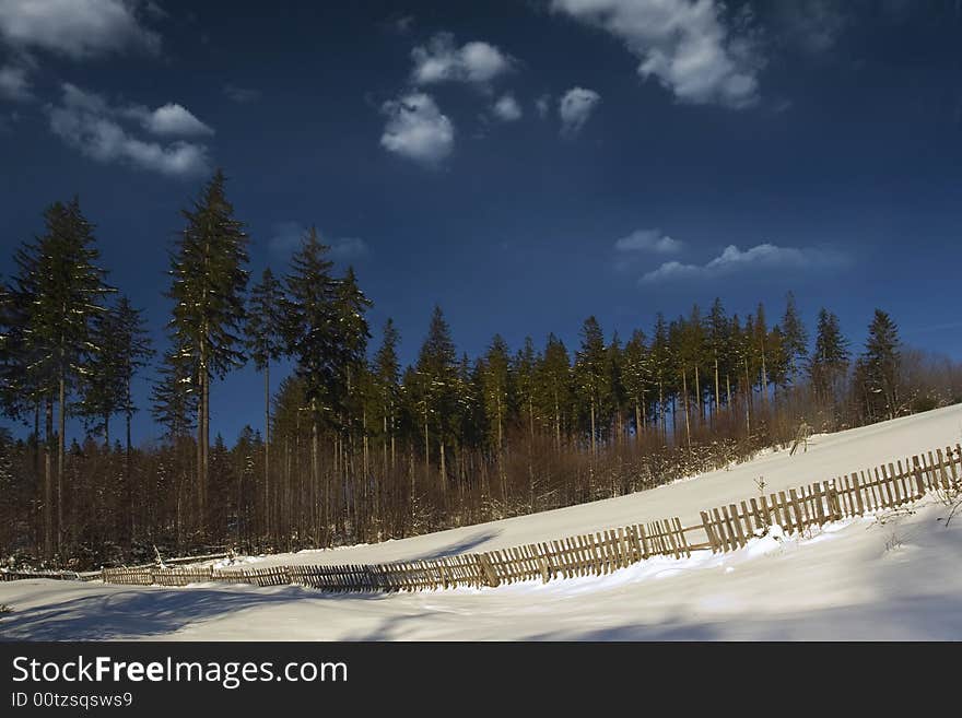 Fence covered snow