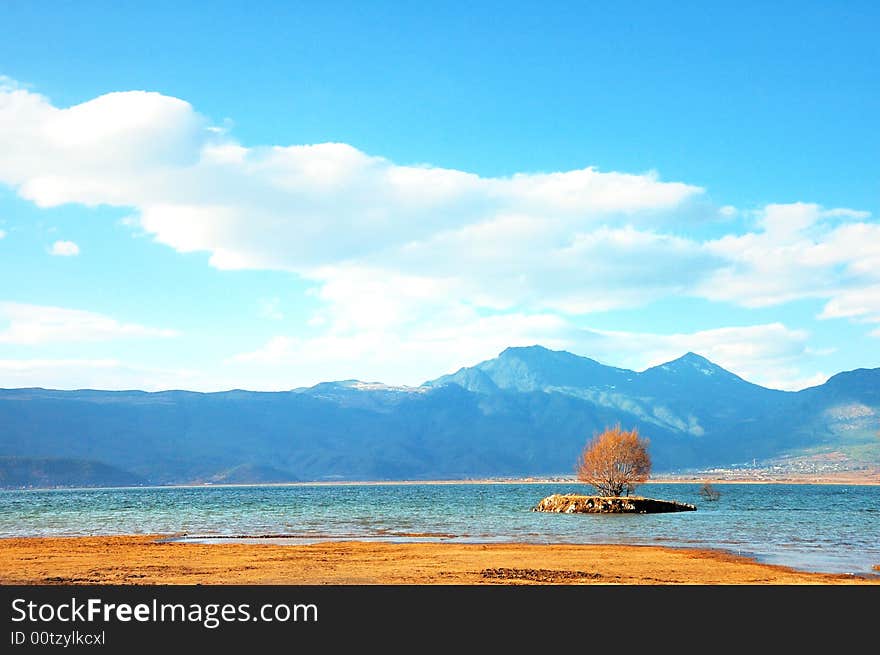 The highland lake- being located in Chinese Yunnan Li Jiang Lasi lake , a lonely tree. The highland lake- being located in Chinese Yunnan Li Jiang Lasi lake , a lonely tree