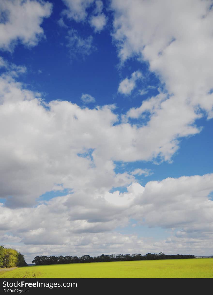 Field of winter wheat and autumn clouds. Field of winter wheat and autumn clouds