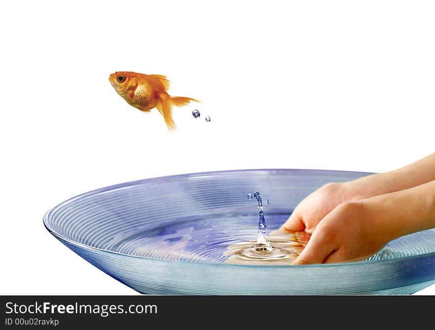 Gold fish jumping