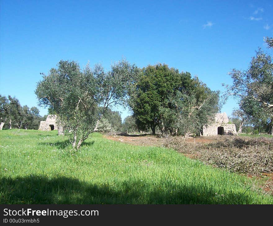 Salento typical buildings built many years ago by the peasants of this land. Salento typical buildings built many years ago by the peasants of this land.