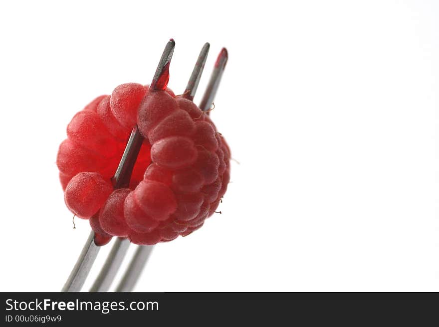 Raspberry on a fork.Raspberry close-up.