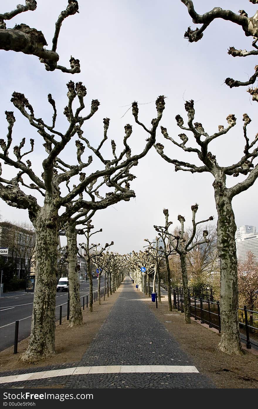 Parkway along the river Main in Frankfurt, Germany.