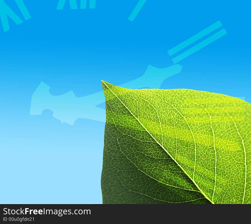 Conceptual image of clock face overlaid onto leaf. Conceptual image of clock face overlaid onto leaf