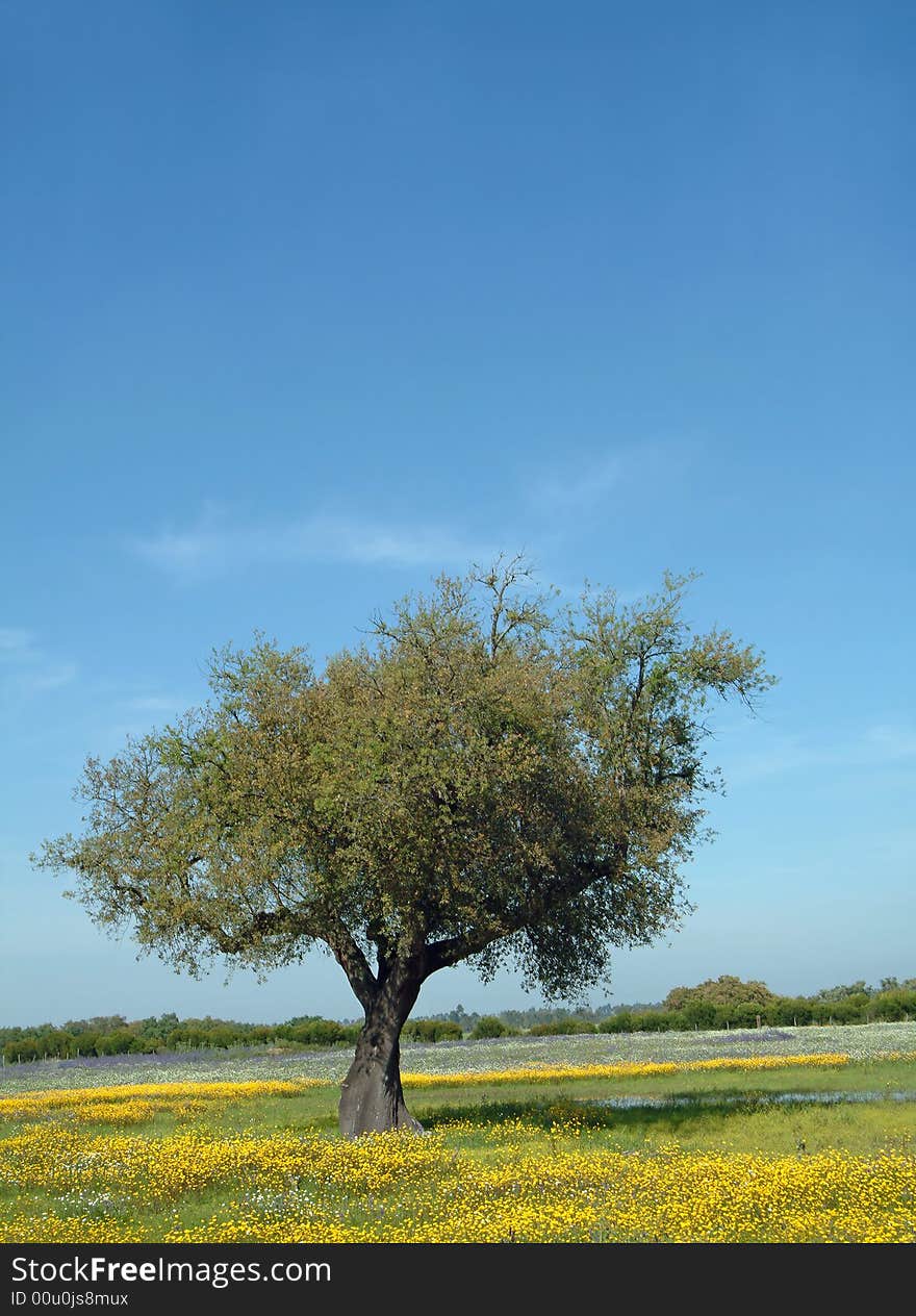 Tree in flowery field