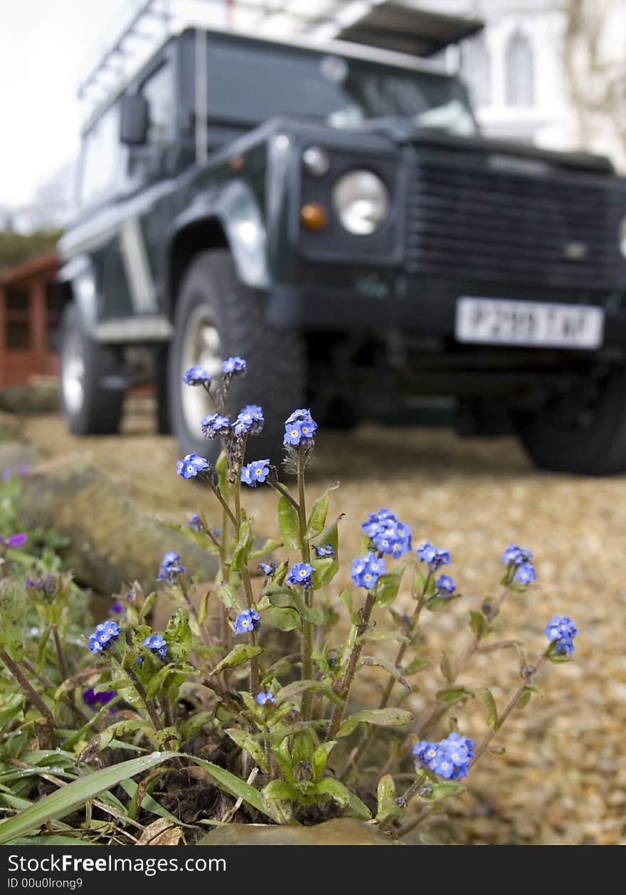 Blue flowers in foreground with four wheel drive in the background. Blue flowers in foreground with four wheel drive in the background