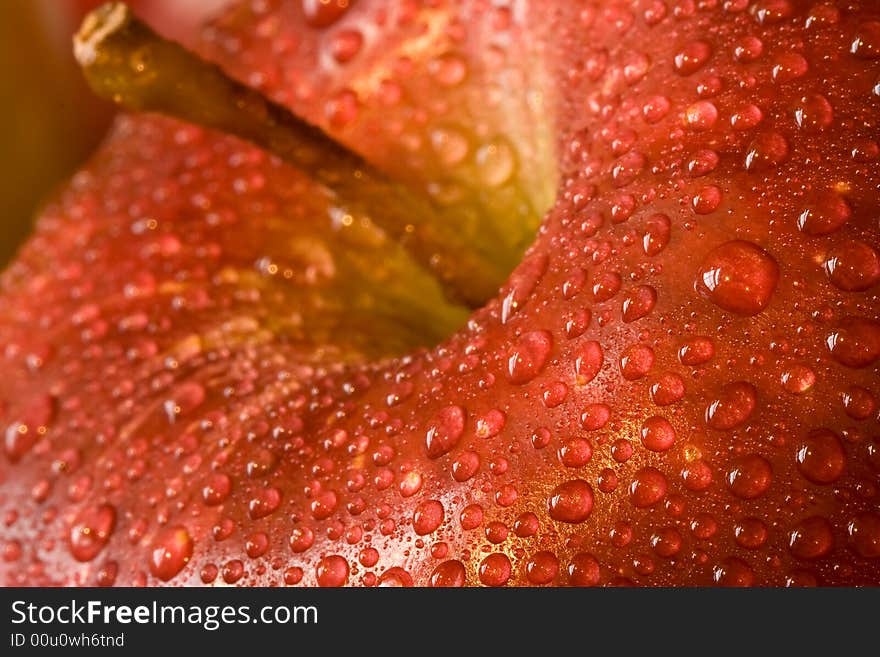 Macro shot of fresh ripe apples washed with water