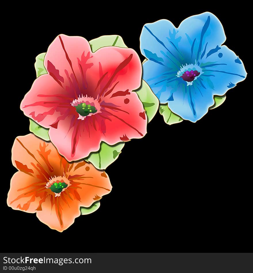 Assorted color petunia's on a black back round. Assorted color petunia's on a black back round.