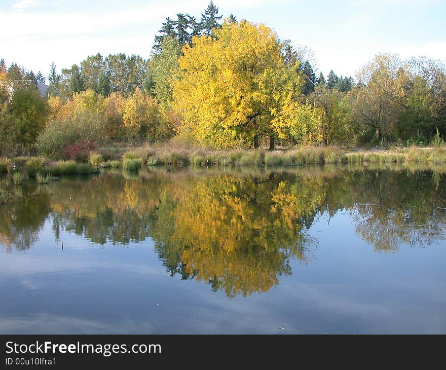 A still lake reflecting the fall landscape and clouds. A still lake reflecting the fall landscape and clouds