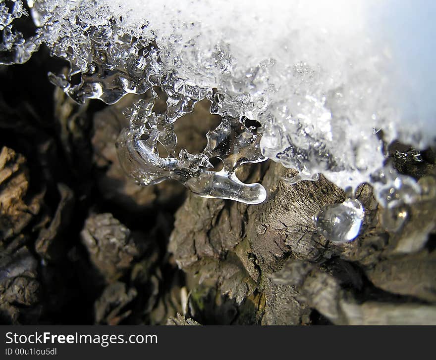 The thawing snow on a log.