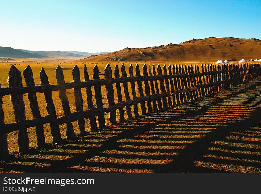 Scene Of Grassland