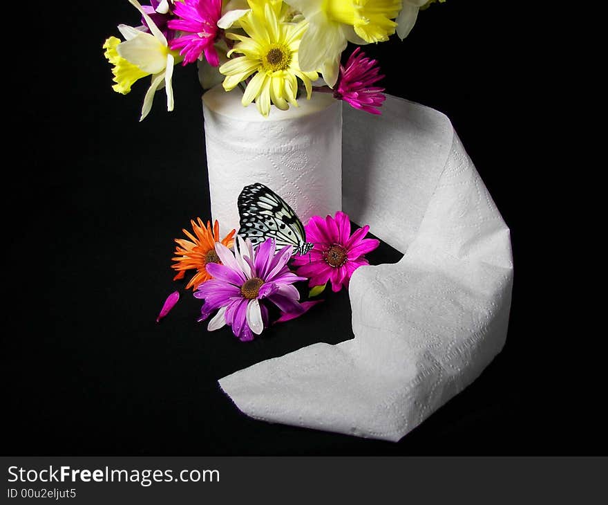 Spring flowers and a butterfly in a toilet paper roll. Spring flowers and a butterfly in a toilet paper roll.