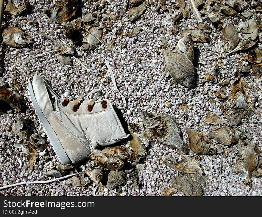 Salton sea coast polluted with trash. Salton sea coast polluted with trash