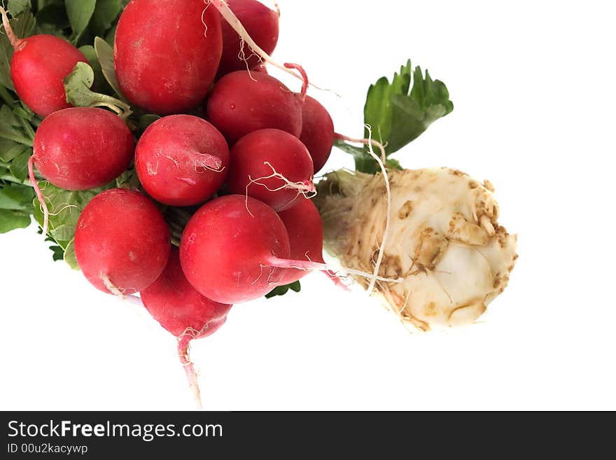 Celery and little radish isolated on white background. Celery and little radish isolated on white background.