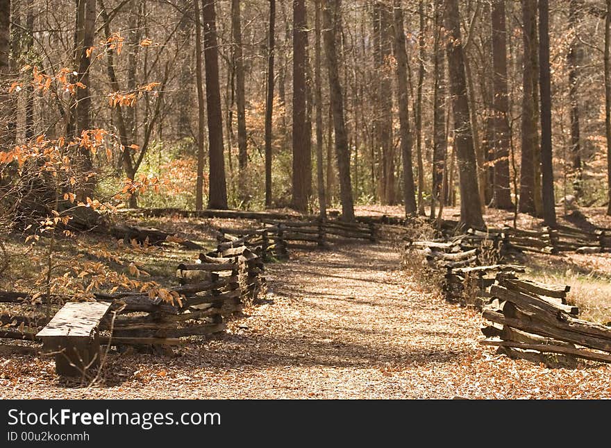 Split Rail Fenced Trail