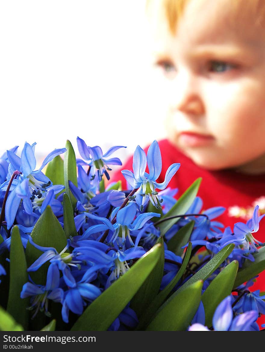 The little girl looks at a bouquet of snowdrops