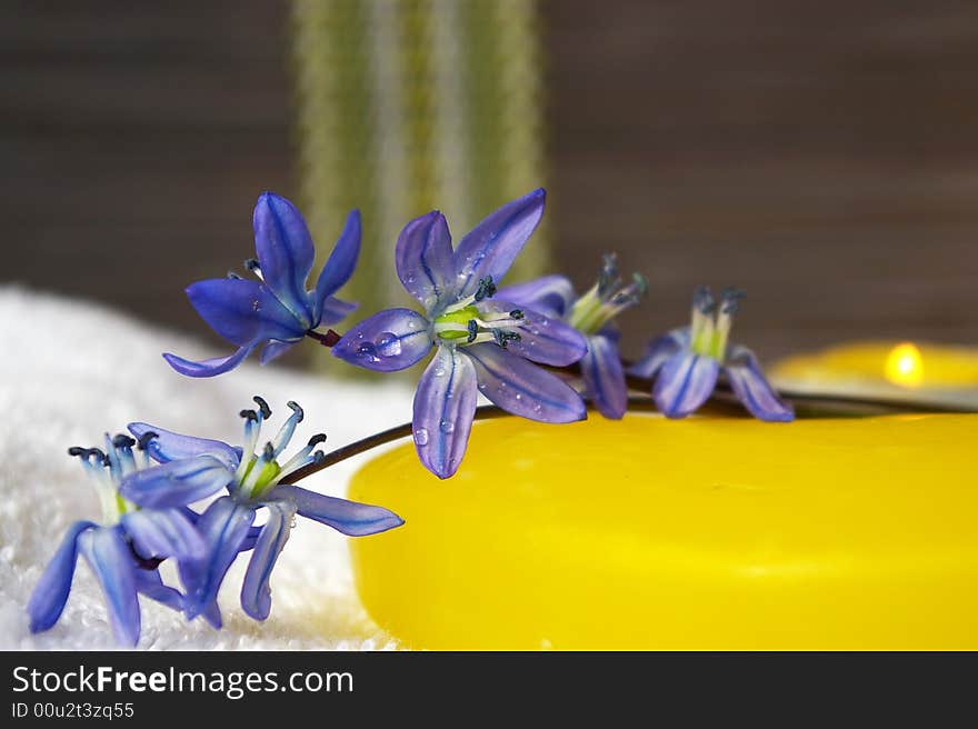 Spa concept. Soap, towel and flowers snowdrops.