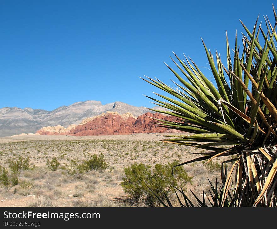 Red Rock Canyon, Nevada